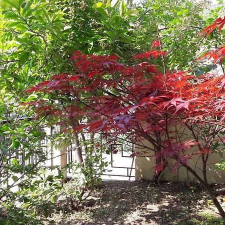 Casa Con Verde *